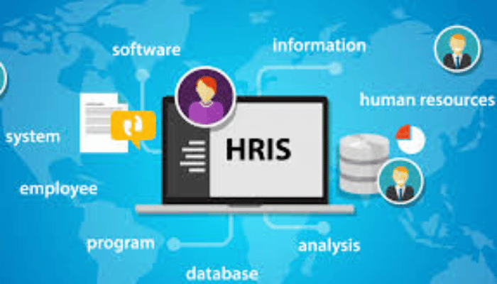 Top HRIS Systems of 2024- An Overview