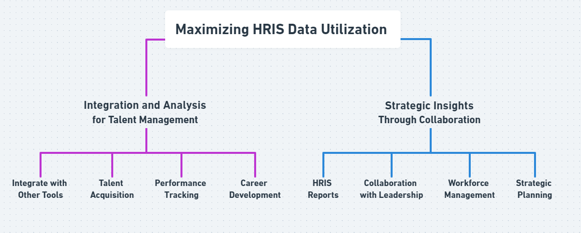 Maximizing HRIS Data Utilization 