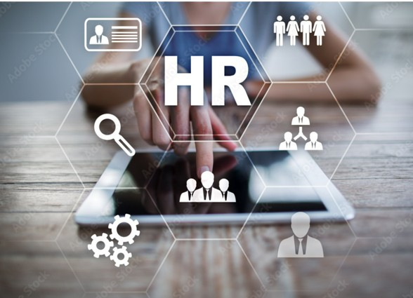 What are the HR database systems?  